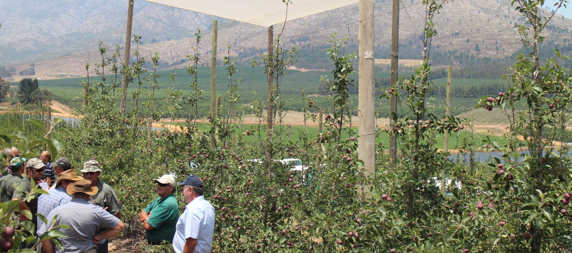 Langkloof2023 Banner1