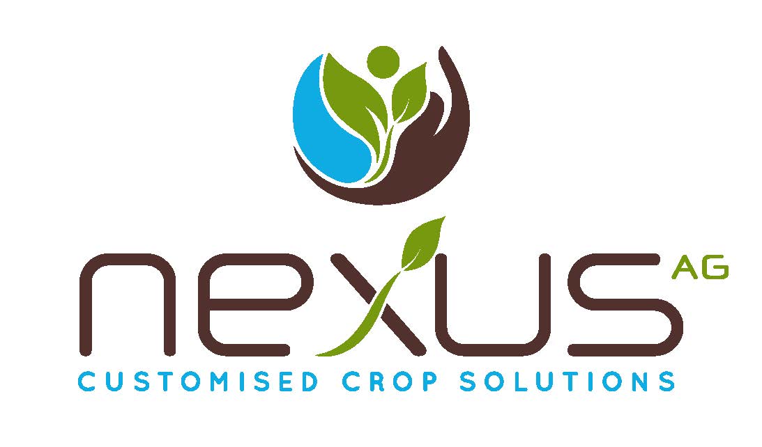 Nexus Logo Variasies Triangle Colour With Tagline