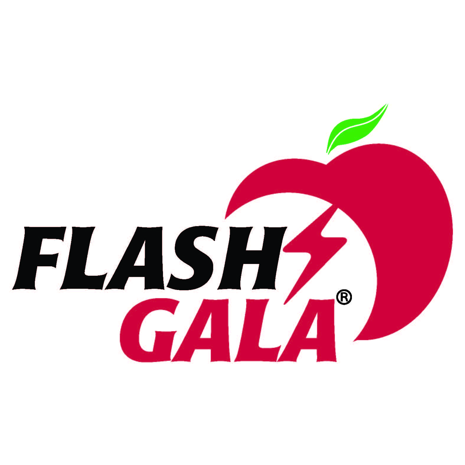 Flash Gala Logo Trademark